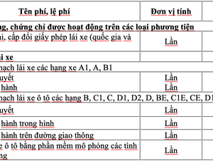 Công bố mức thu phí sát hạch lái xe