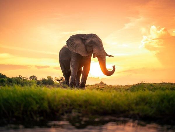 Hướng tới Thủ đô Văn minh: Nâng cao trật tự giao thông và văn hóa ứng xử từ trách nhiệm công dân