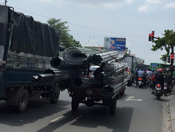 Hoảng hồn với những 'hung thần' thong dong trên phố