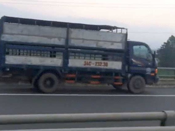Phạt nguội tài xế đi ngược chiều trên cao tốc Nội Bài – Lào Cai 7,5 triệu đồng
