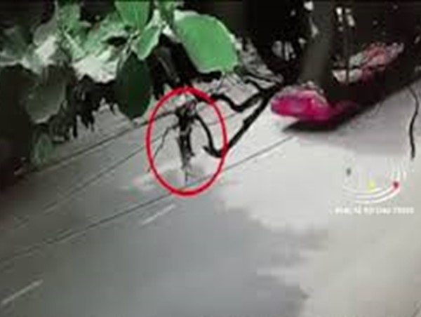 Sang đường thiếu quan sát, người phụ nữ bị xe buýt tông bất tỉnh