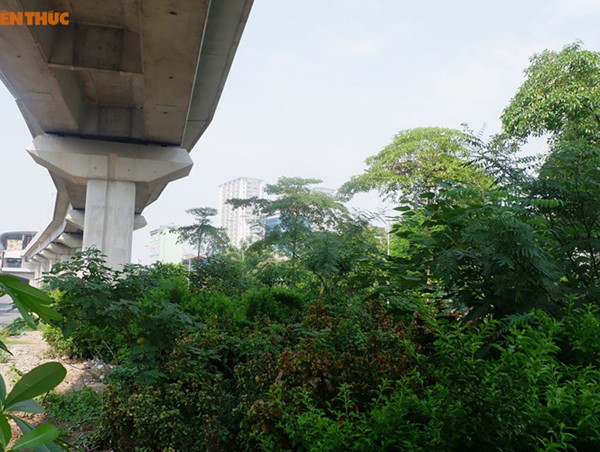 Rác thải, cỏ dại mọc ùm tùm “nuốt trọn” dự án thập kỷ đường sắt Cát Linh - Hà Đông