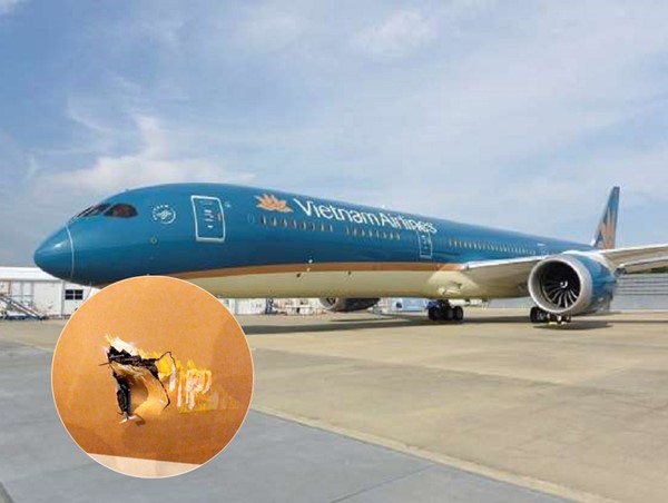 Xe thang đâm thủng máy bay Boeing 787-9 đang đỗ tại Tân Sơn Nhất