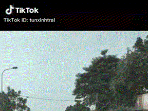 Người đàn ông bỏ lại xe máy, bắt ô tô đi đúng đường