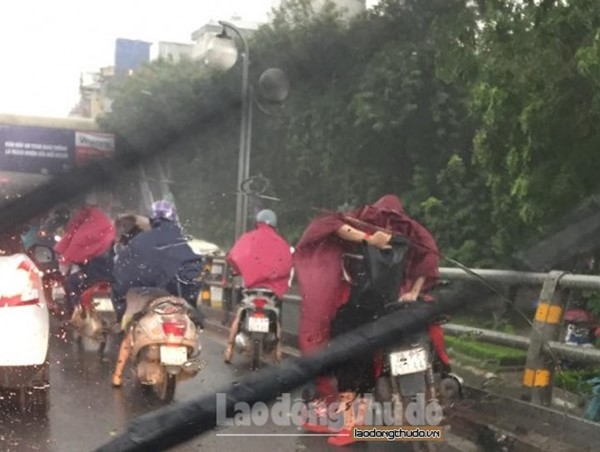 Dừng xe trên cầu vượt khi trời mưa: Người dân vẫn lờ luật