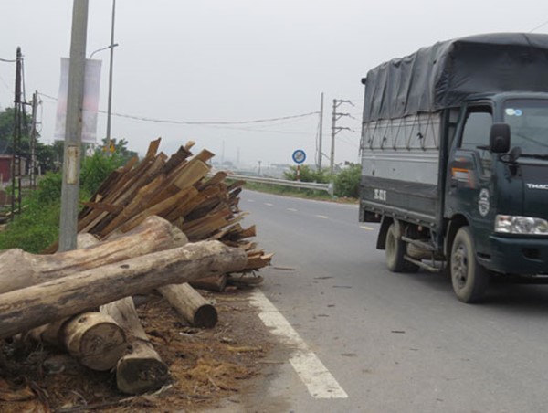 Nguy hiểm từ những đống gỗ tại tỉnh lộ 421A