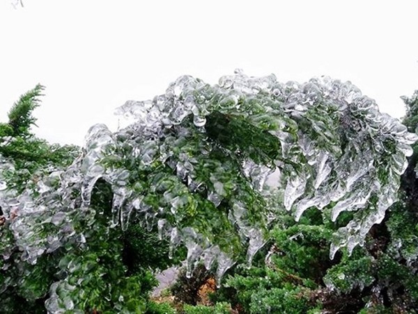 Đường lên Mẫu Sơn “thất thủ” vì dòng người đổ về ngắm băng giá