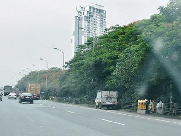 Nhếch nhác ở một tuyến đường