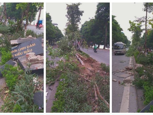 Cây xanh gãy đổ cản trở giao thông trên đường Nguyễn Hữu Thọ, nghi do ô tô tông