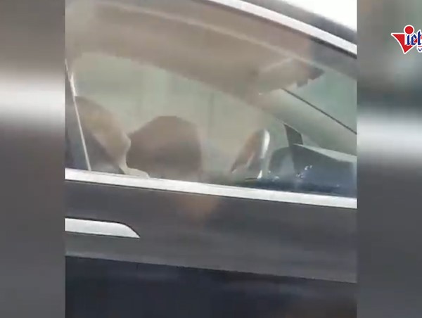 Tài xế ngủ ngon lành bỏ mặc xe lao nhanh trên cao tốc