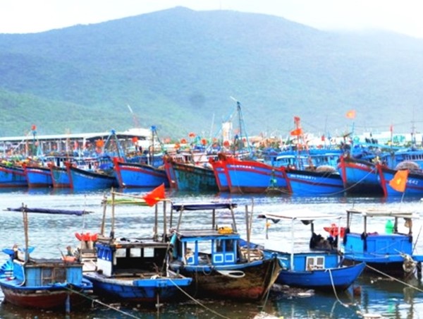 Trên 62.600 tàu thuyền đã thoát ra khỏi vùng nguy hiểm bão số 7