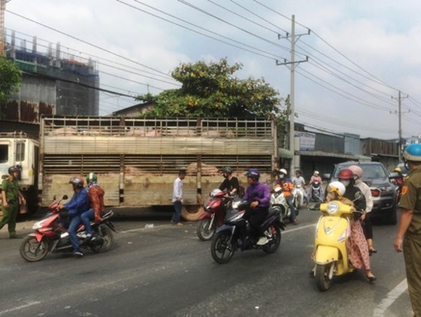 Xe tải chở 50 con lợn tông thẳng vào nhà dân ven đường