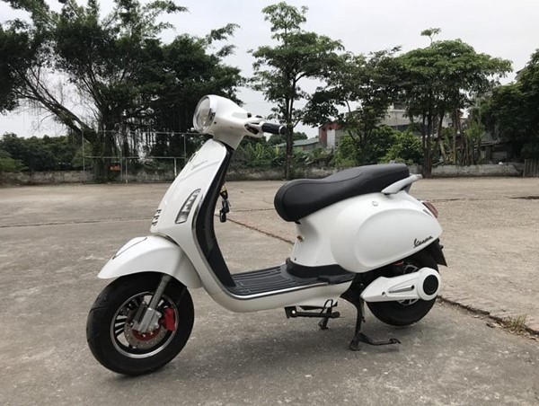 Tìm chủ nhân của các xe máy điện bị trộm cắp tại Thanh Xuân, Cầu Giấy