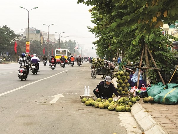 Chợ cóc trên đường Ngọc Hồi