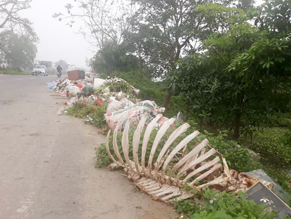 Rác thải “tấn công” Tỉnh lộ 429