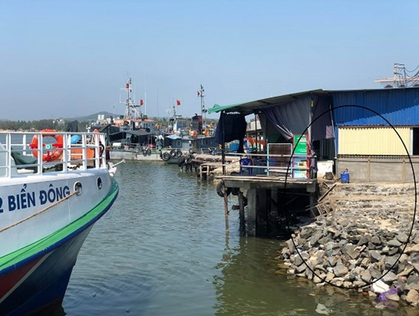 Vụ lấn cảng Sa Kỳ: Sẽ kiểm tra và thu thập lại số liệu