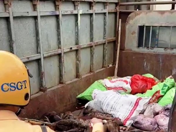 Phát hiện xe tải chở nội tạng động vật hôi thối trên tuyến Đại lộ Thăng Long