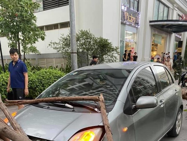 Hà Nội: Dông lốc khiến cây xanh bật gốc, đè trúng ô tô đang chạy trên đường