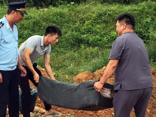 Tiêu hủy hơn 3 tấn lòng lợn sấy khô, phạt chủ xe 7,5 triệu đồng