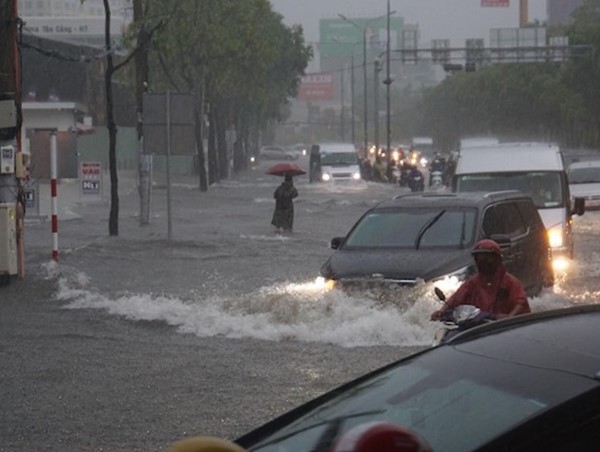 TP Hồ Chí Minh: Mưa như trút nước, đường ngập, cây đổ khắp nơi