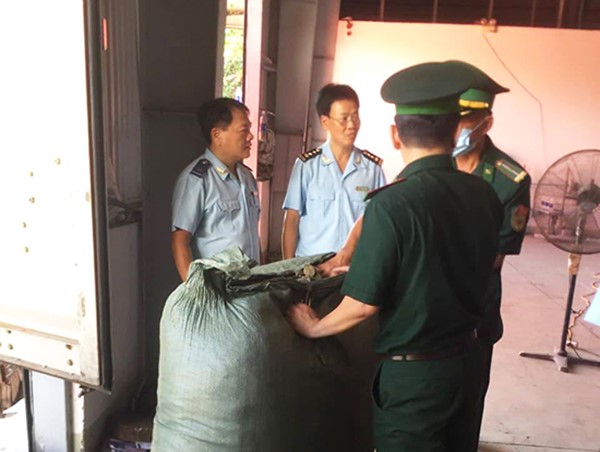 Bắt hơn 100 tấn dược liệu đội lốt củ quả nhập khẩu trong 5 container ở Đà Nẵng