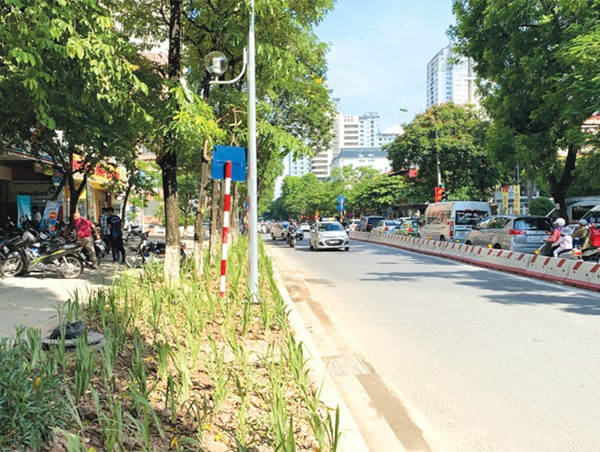 Chỉnh trang vỉa hè: Cách làm hay tại quận Đống Đa