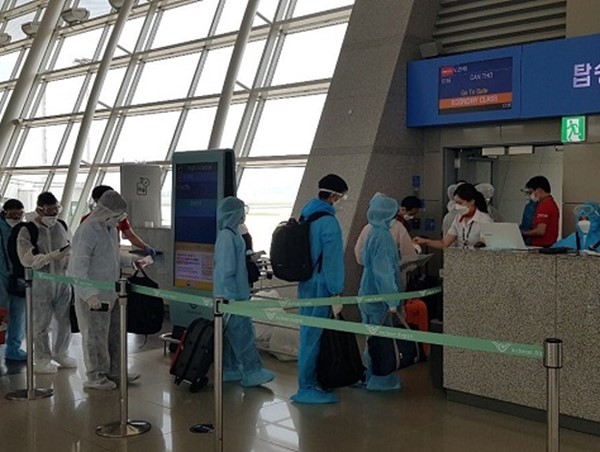 Đưa hơn 230 công dân Việt Nam từ Hàn Quốc về nước an toàn