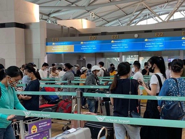 Đưa hơn 645 công dân Việt Nam từ Singapore, Hàn Quốc về nước