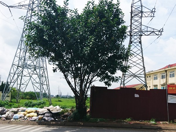 Nhiều tuyến đường tại phường Kiến Hưng tái diễn tình trạng đổ trộm rác thải