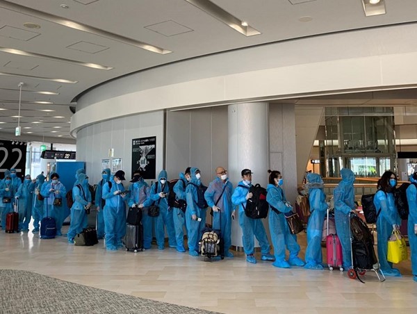 Đưa hơn 350 công dân Việt Nam từ Mỹ và Nhật Bản về nước