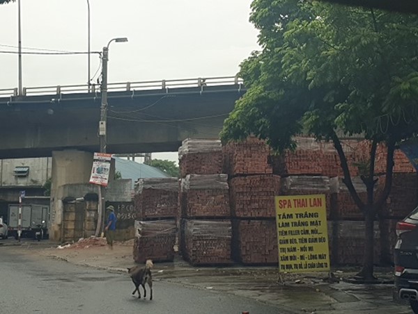 Nhiều gầm cầu ở Hải Phòng bị lấn chiếm