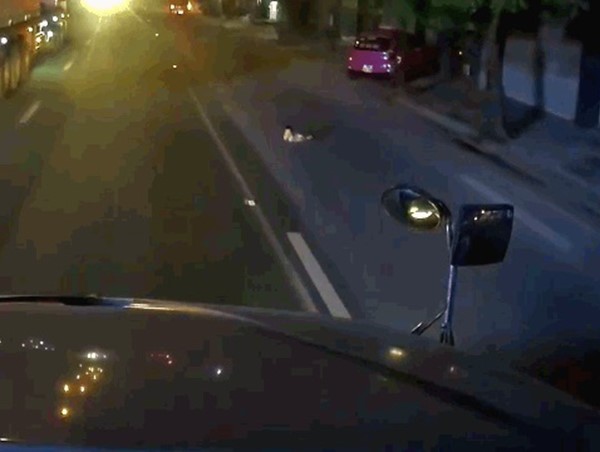 Clip: Thót tim cảnh em bé bò ra giữa quốc lộ, trước mũi xe container