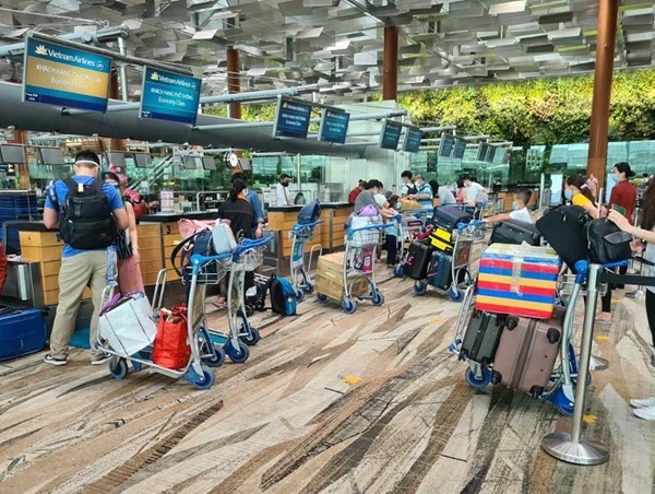 Đưa 240 công dân Việt Nam từ Singapore về nước