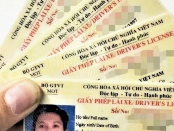 Kiến nghị công an vào cuộc vụ website giả mạo tra cứu thông tin bằng lái xe