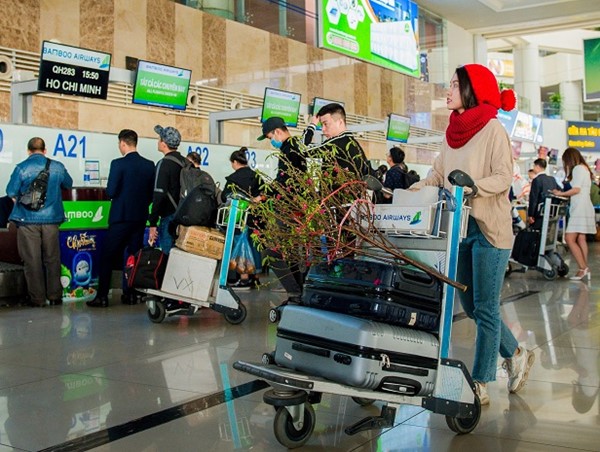 Giá cước vận chuyển mai, đào qua đường hàng không Tết Nguyên đán Tân Sửu 2021