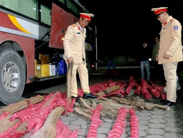 Hà Tĩnh: Phát hiện lượng lớn gỗ quý giấu trên xe khách