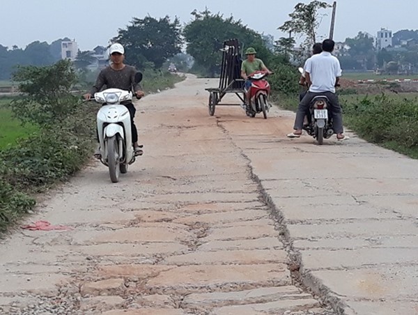 Tuyến đê Tả Bùi - Hữu Đáy kêu cứu