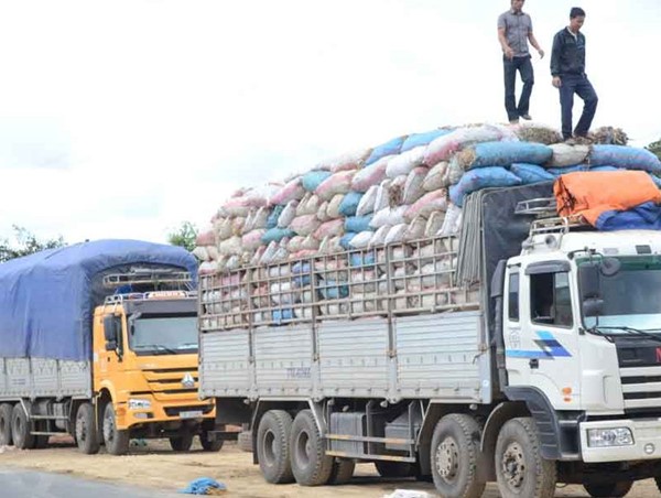 Năm 2020 xử phạt hơn 14.000 trường hợp xe chở quá tải