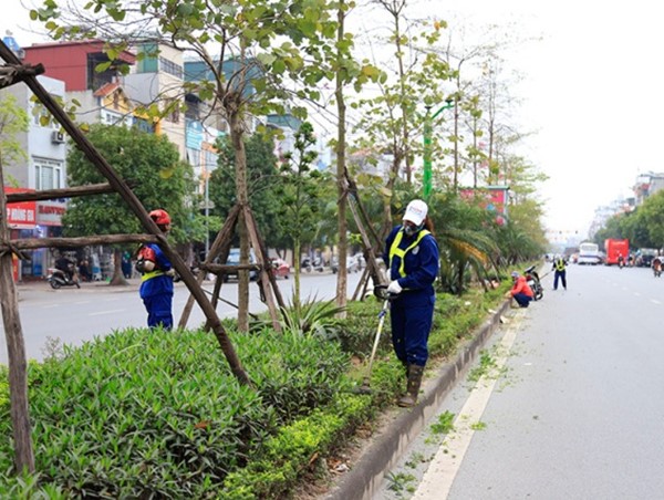 Hà Nội: Chỉnh trang hệ thống cây xanh, thảm cỏ trên nhiều tuyến đường