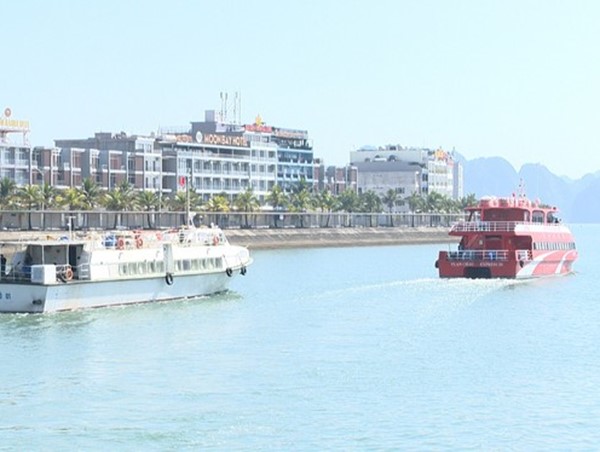 Quảng Ninh: Miễn phí tàu cao tốc đưa gần 300 công dân ra đảo ăn Tết