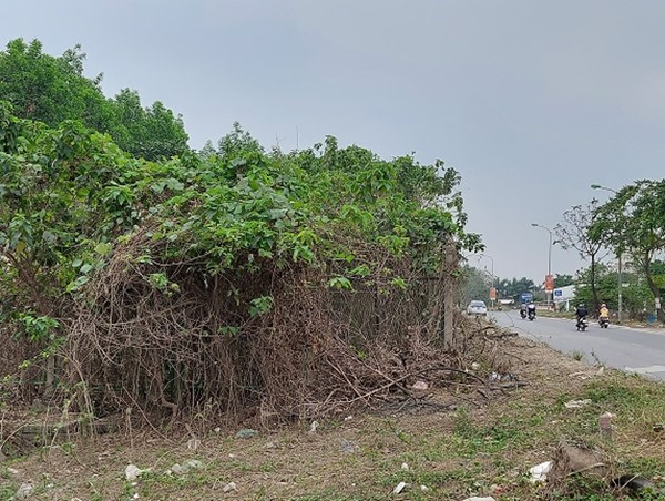 Đại lộ Thăng Long tiềm ẩn nguy cơ... hỏa hoạn