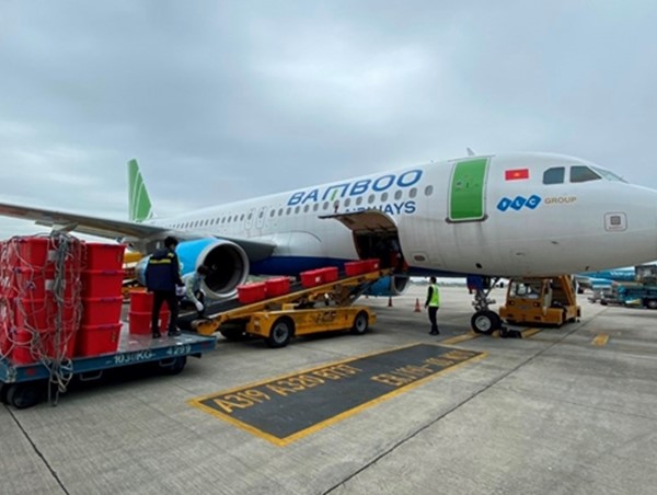 Nhiều hãng hàng không sẵn sàng vận chuyển vaccine Covid-19