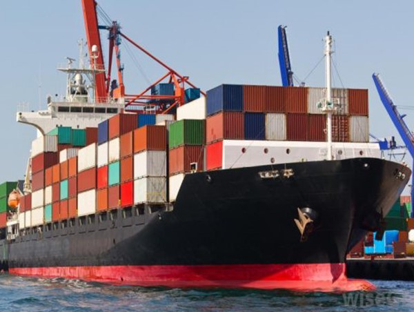 Cục Hàng hải lập đoàn kiểm tra cước vận chuyển hàng hóa đường biển cao bất thường