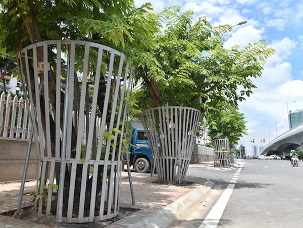 Thông tin mới nhất về hàng sưa "mặc giáp", được truyền dịch trên đường Nguyễn Văn Huyên