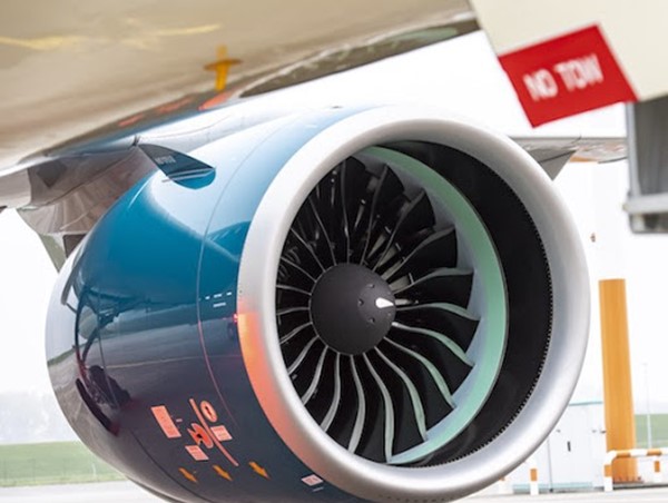 Panel động cơ máy bay hỏng do chim