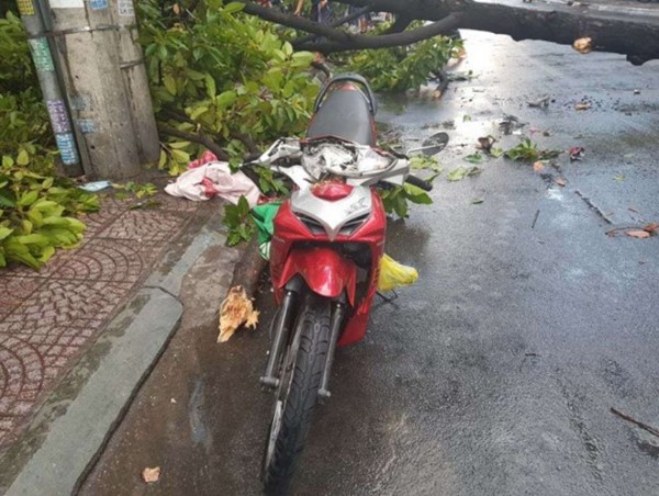 Tai nạn giao thông mới nhất hôm nay 12/4: Cây bật gốc trong cơn mưa lớn đè trúng 2 người