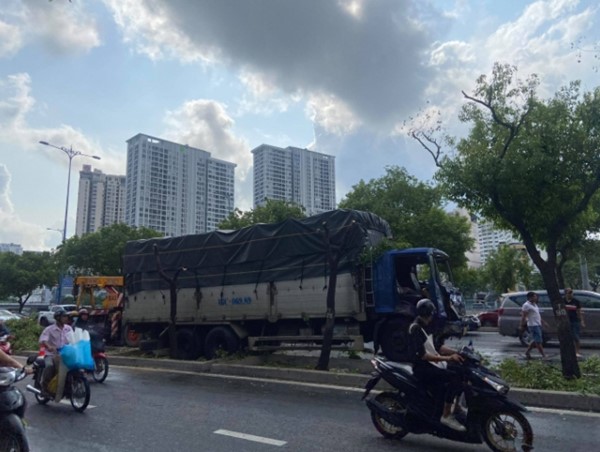 Xe tải tông gãy loạt cây xanh trên đại lộ Võ Văn Kiệt