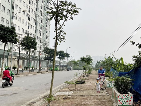 Chuyện về người phụ nữ dọn "núi rác" làm "đường hoa" ở Hà Đông