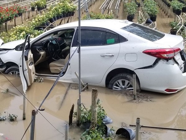 Ô tô lao xuống ruộng hoa, tài xế đưa vợ con bỏ đi