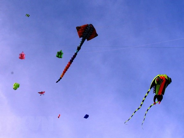 Liên tiếp phát hiện diều uy hiếp an toàn bay